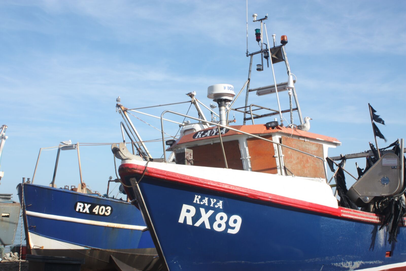 Canon EOS 450D (EOS Rebel XSi / EOS Kiss X2) sample photo. Fishing, boat, hastings photography
