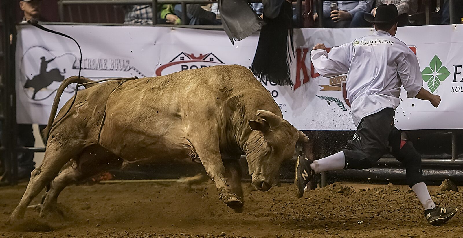 Nikon D850 sample photo. Bull, rodeo, cowboy photography