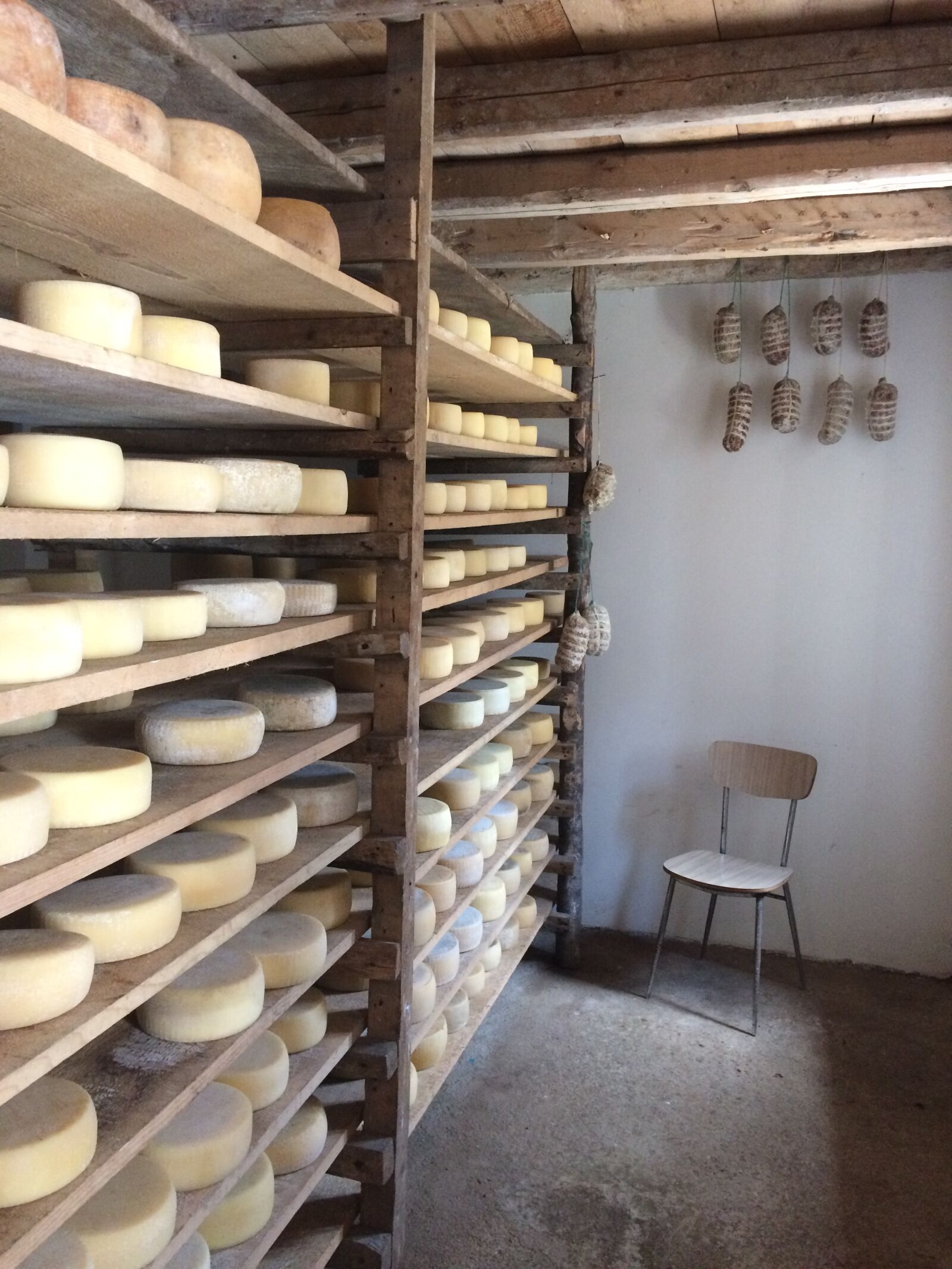 iPhone 5s back camera 4.15mm f/2.2 sample photo. Alm, casera, pecorino cheese photography