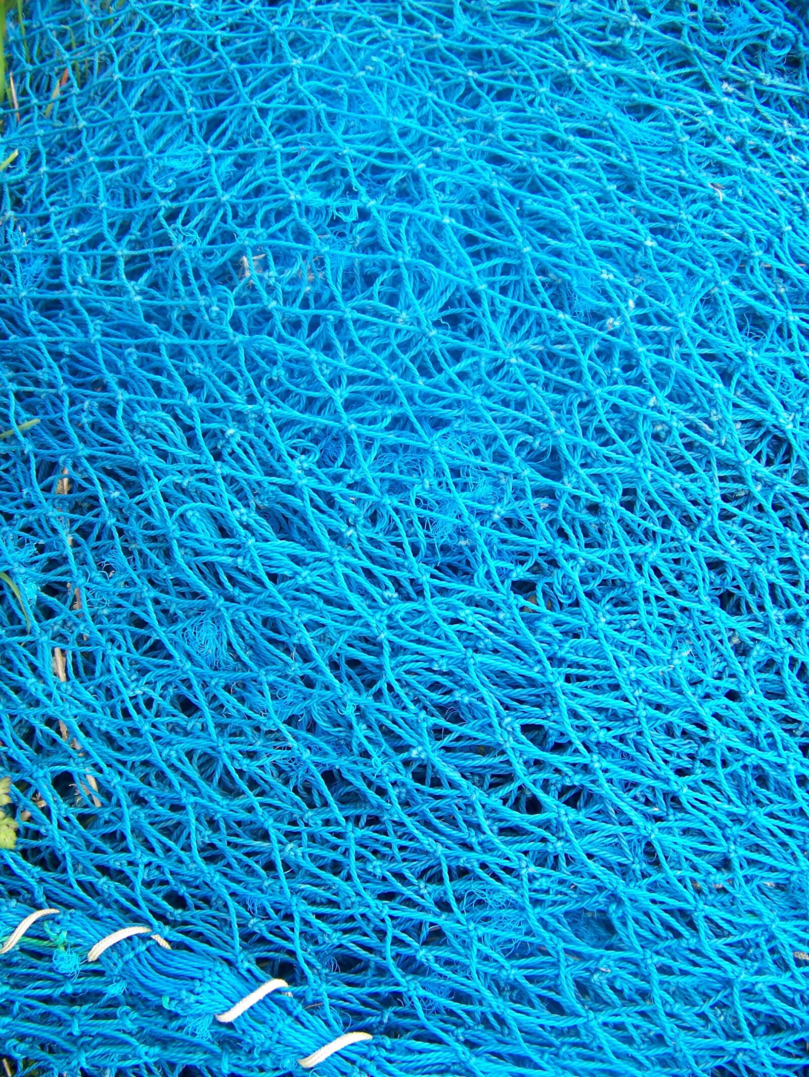 Kodak Z612 ZOOM DIGITAL CAMERA sample photo. Net, fishing, blue photography