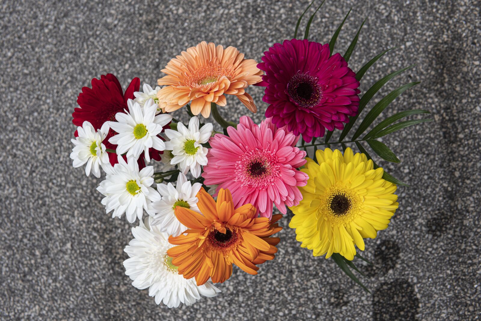 30mm F1.4 DC DN | Contemporary 016 sample photo. Flowers, bouquet, petals photography