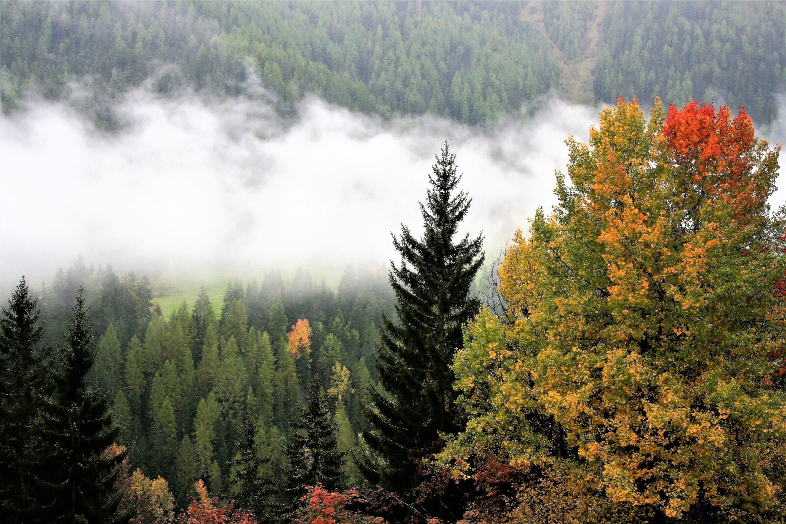 Canon EOS 400D (EOS Digital Rebel XTi / EOS Kiss Digital X) sample photo. Fall mountains, colors, tree photography