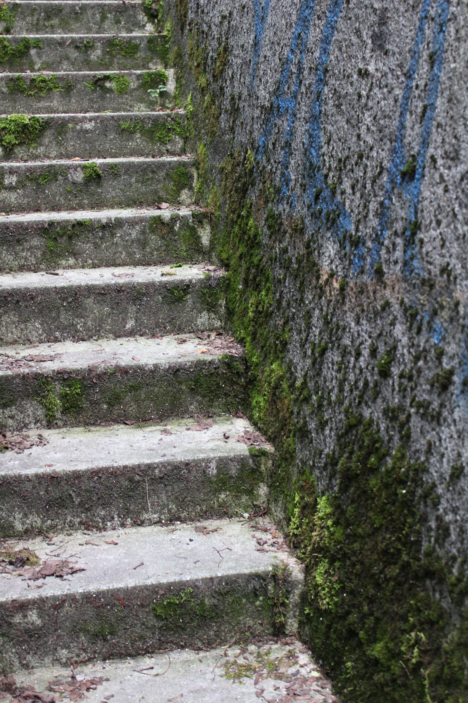 Canon EOS 1300D (EOS Rebel T6 / EOS Kiss X80) sample photo. Stairs, concrete, moss photography