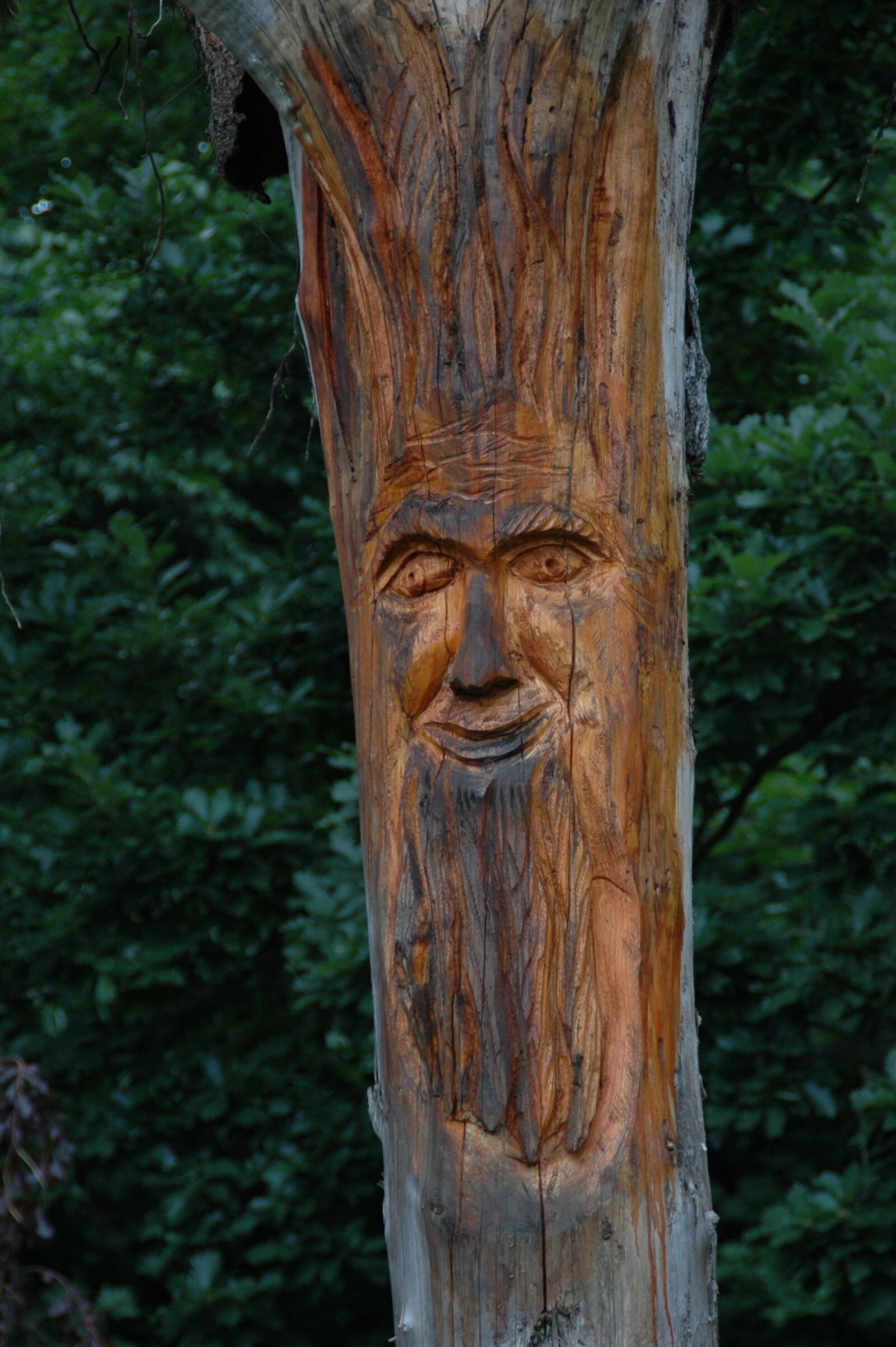 Nikon D70s sample photo. Sculpture, face, wood photography