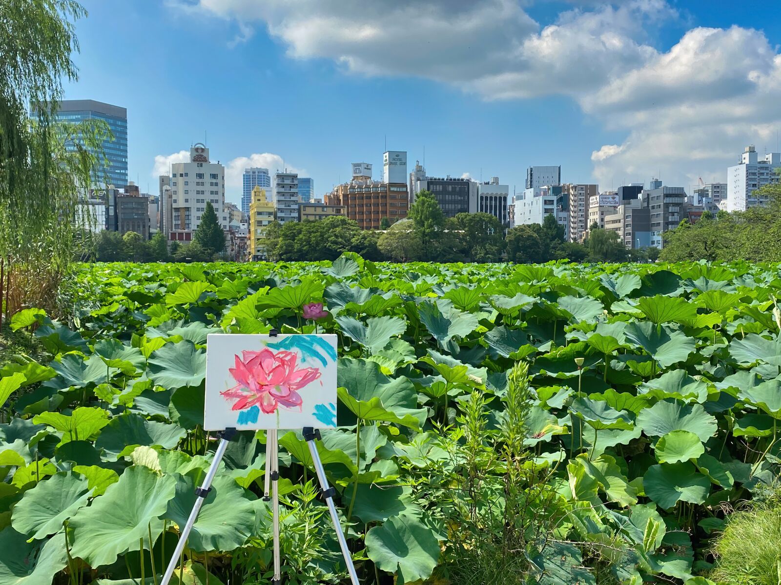 Apple iPhone 11 Pro Max + iPhone 11 Pro Max back triple camera 4.25mm f/1.8 sample photo. Aquatic plants, artist easel photography