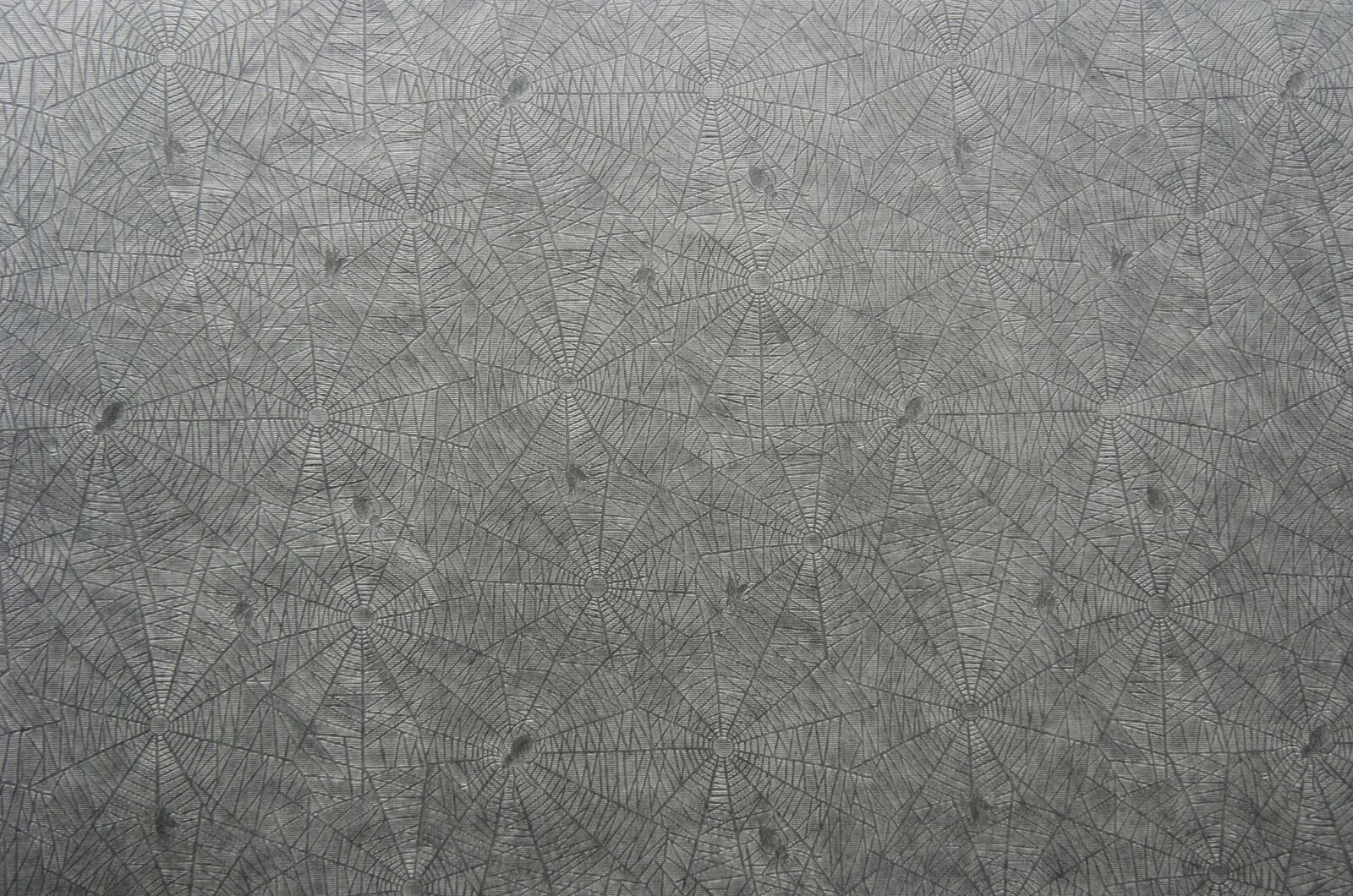 Nikon D5100 sample photo. Paper, pattern, spider pattern photography