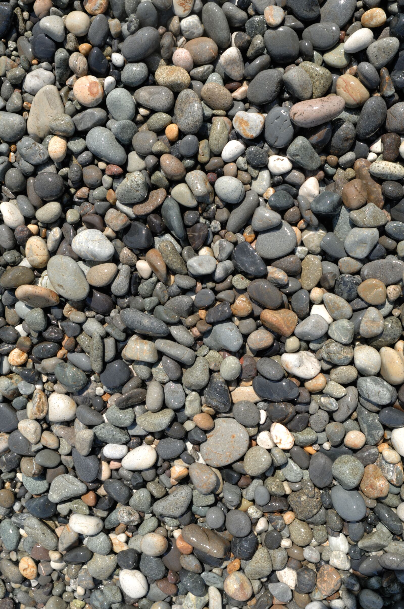 Nikon D2Xs sample photo. Stones, sea, jade photography