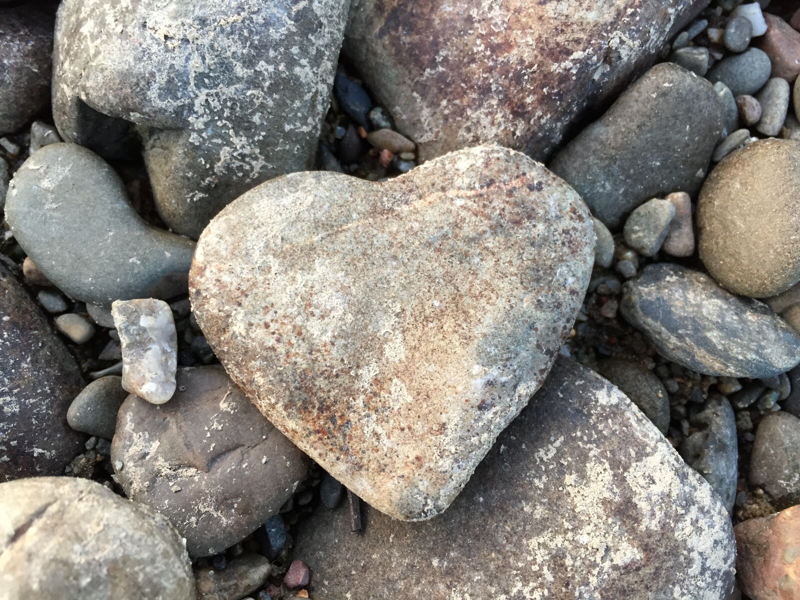 Apple iPhone 6 sample photo. Heart, nature, roche photography