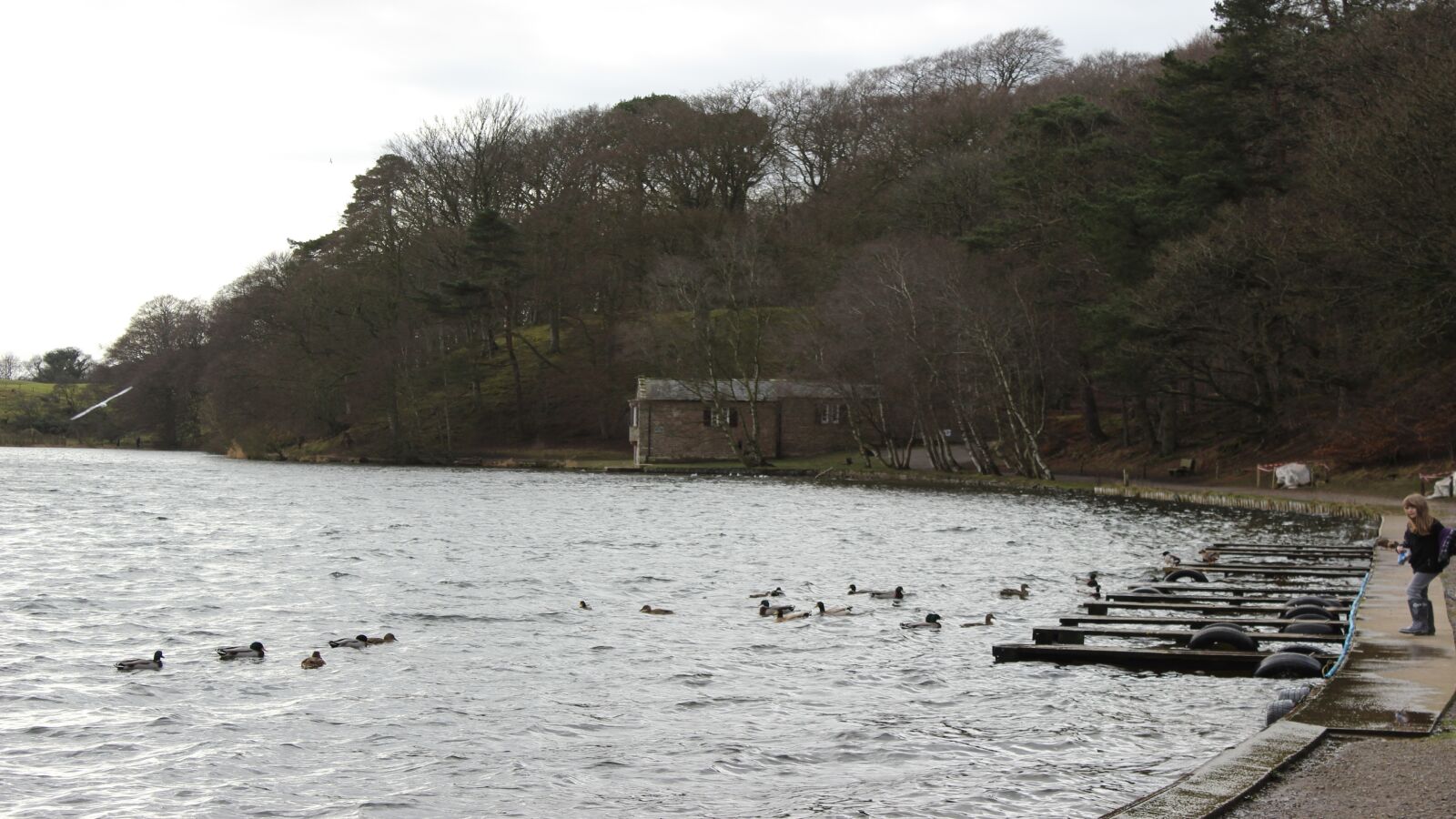 Canon EOS 600D (Rebel EOS T3i / EOS Kiss X5) sample photo. Talkin, tarn, cumbria photography
