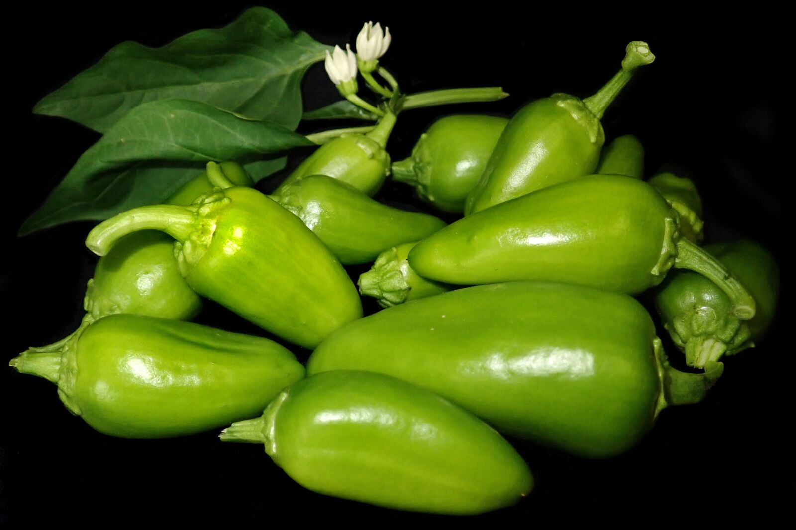 Olympus TG-5 sample photo. Vegetables, green, capsicum photography