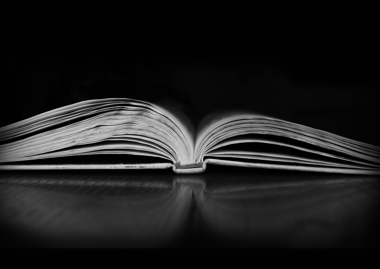 Nikon D3100 sample photo. Book, darkness, book in photography