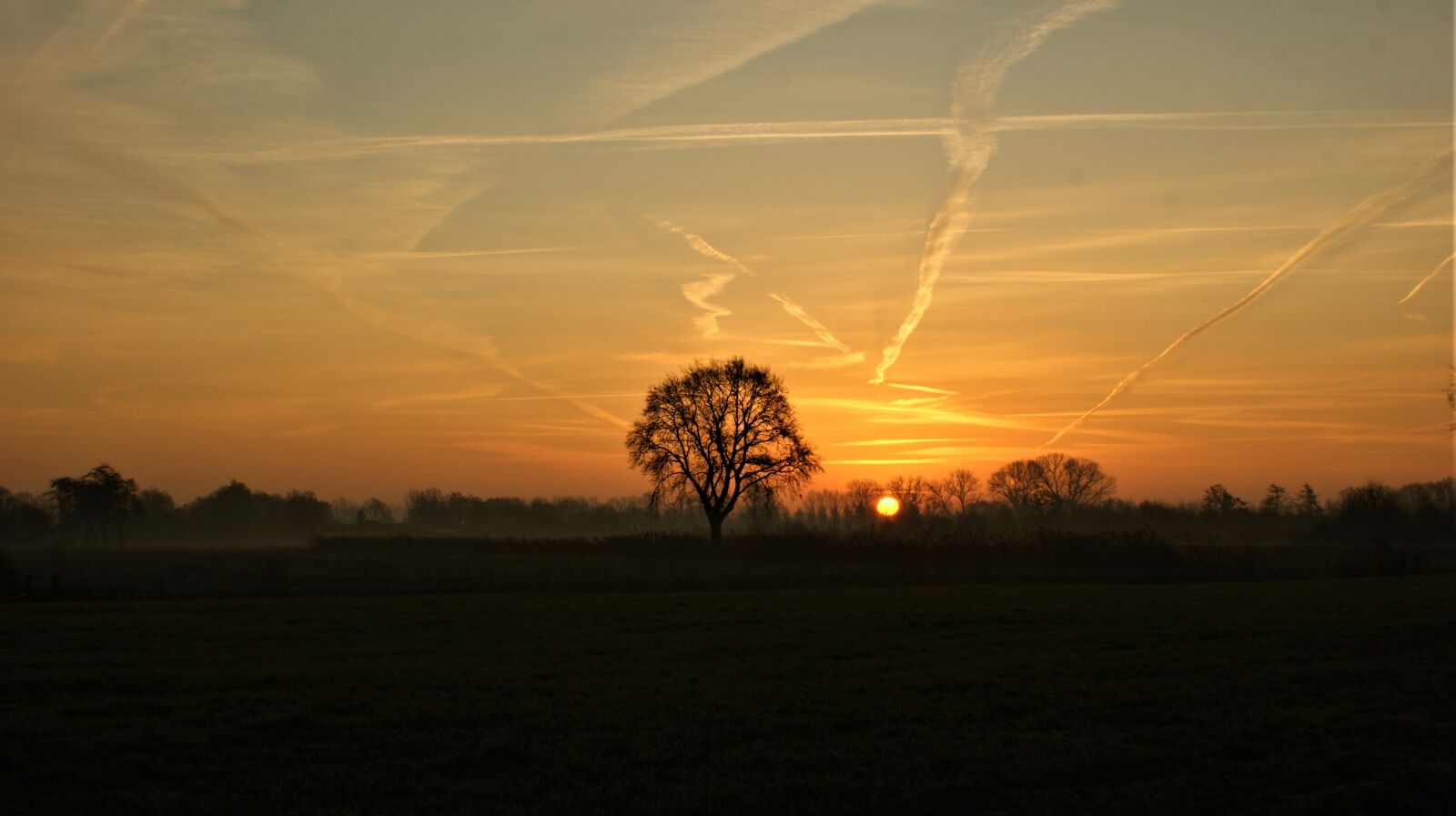Sony Alpha DSLR-A350 sample photo. Tree, sunrise, landscape photography