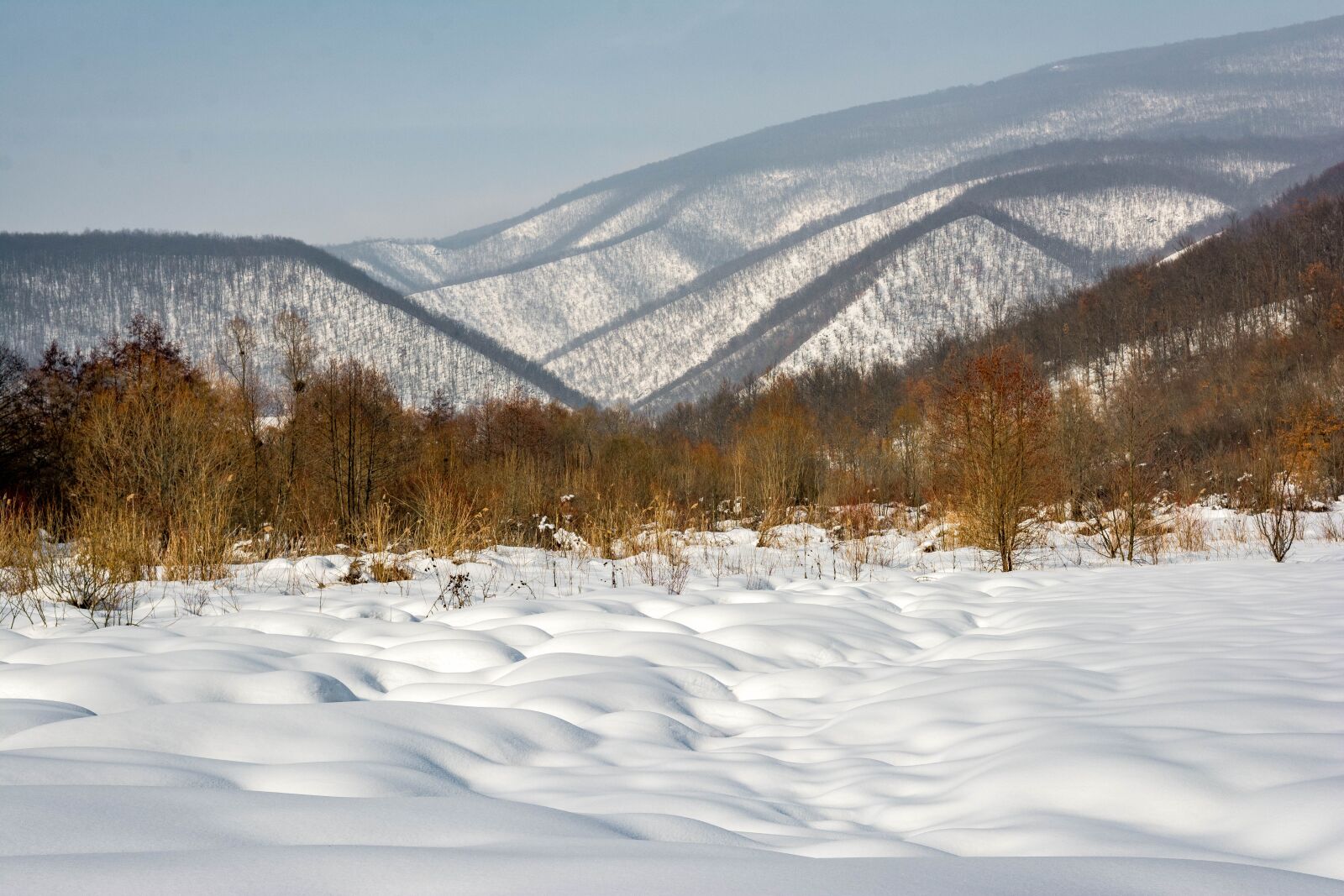 Nikon D7100 sample photo. Winter, cold, mystical photography