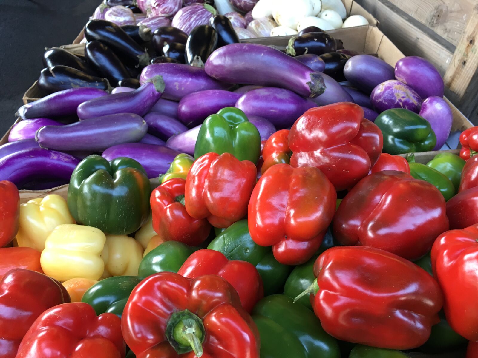 iPhone 6s back camera 4.15mm f/2.2 sample photo. Bell, peppers, farm, produce photography