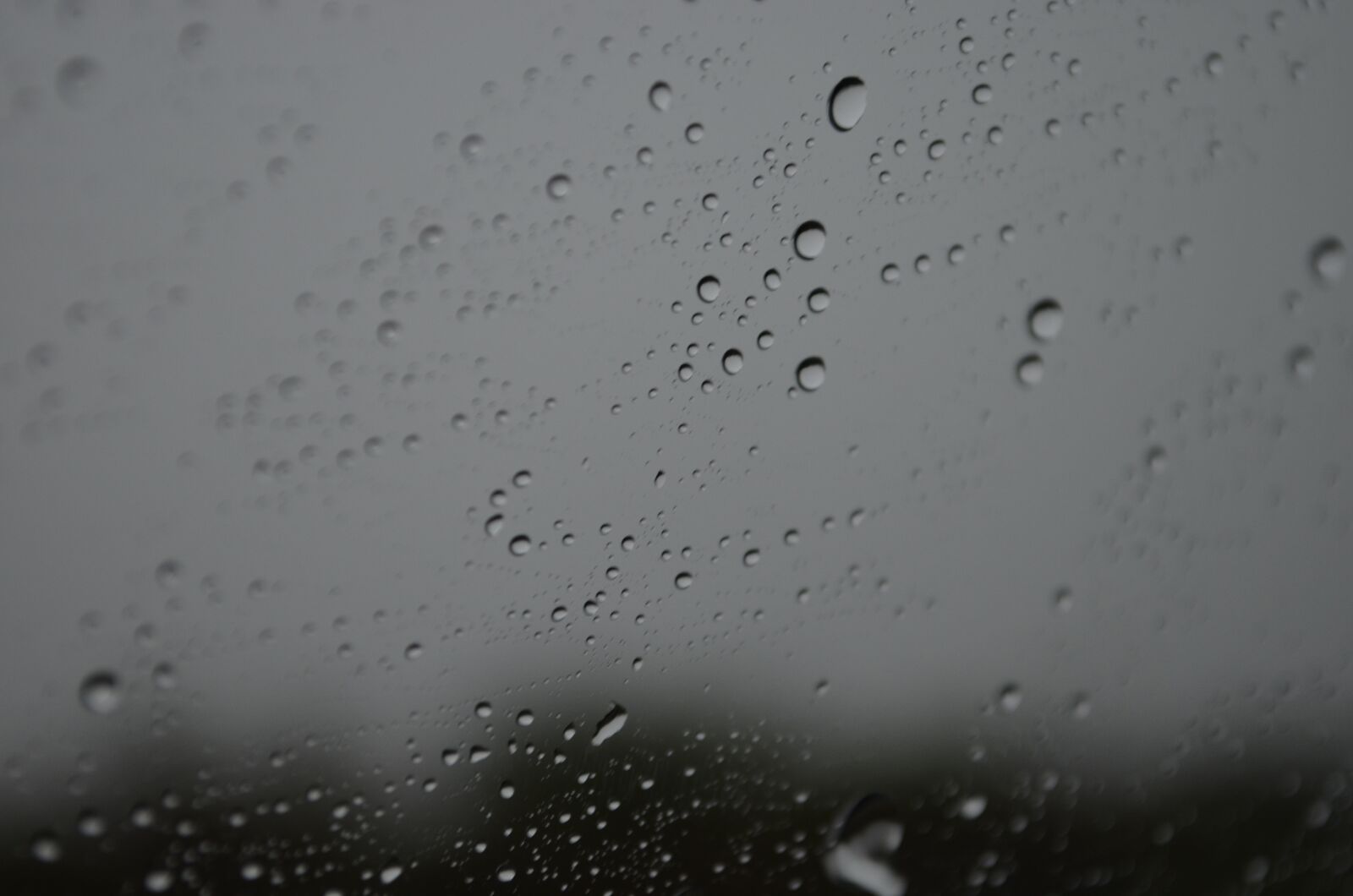 Nikon D5100 sample photo. Drops, tarnished, condensation photography