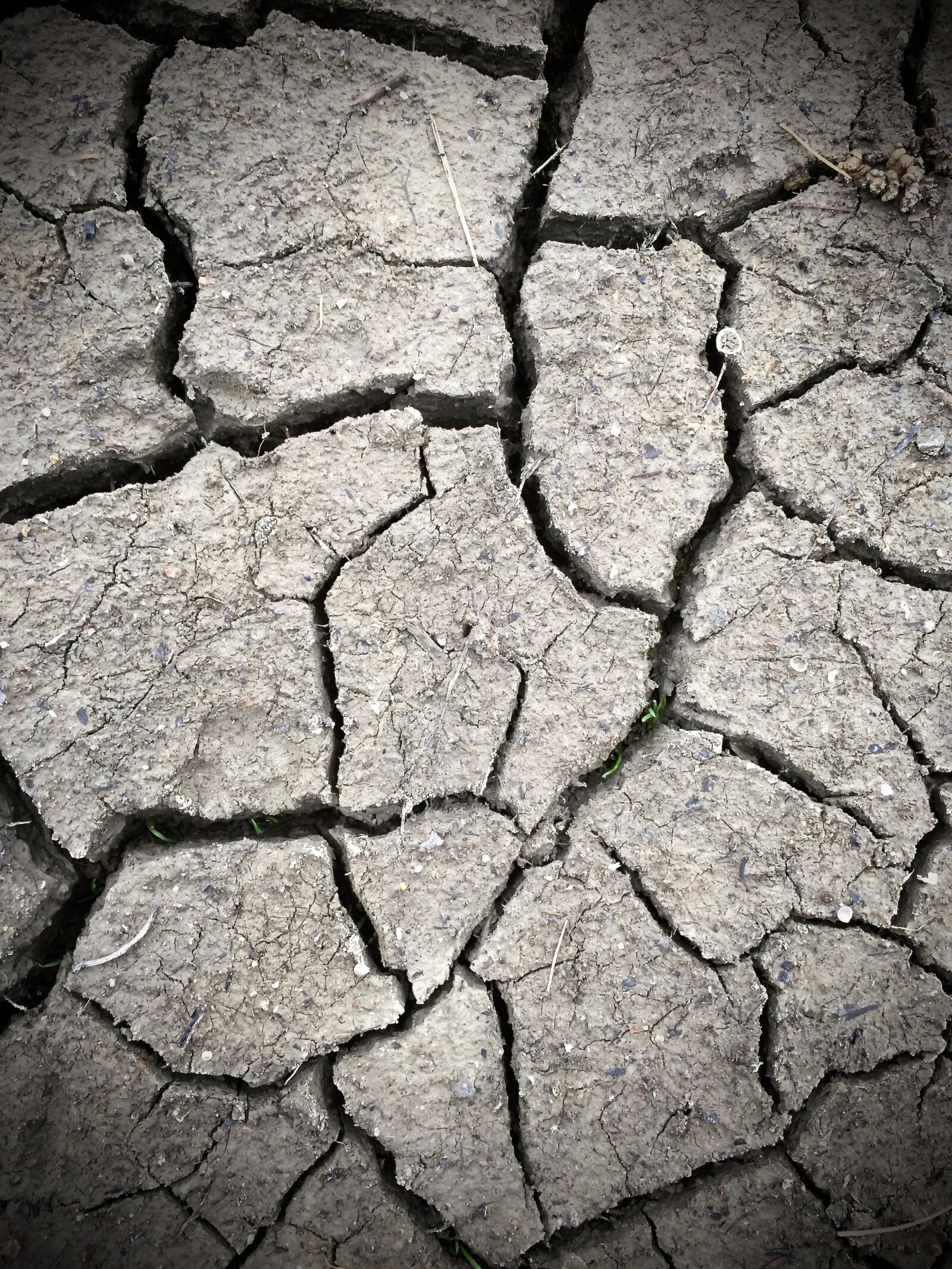 Apple iPhone 5s sample photo. Mud, dried, soil photography