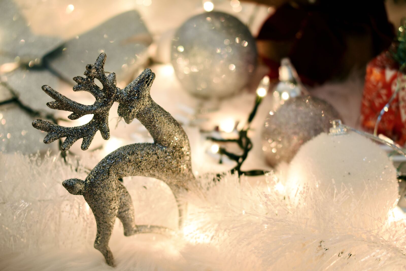 Nikon D3400 sample photo. Christmas, joy, winter time photography
