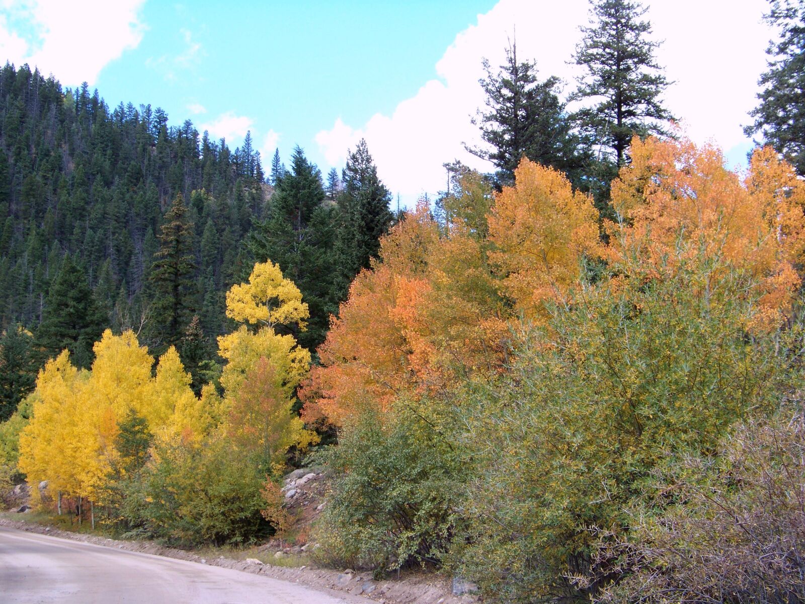 Kodak Z812 IS ZOOM DIGITAL CAMERA sample photo. Colorado, fall, autumn photography