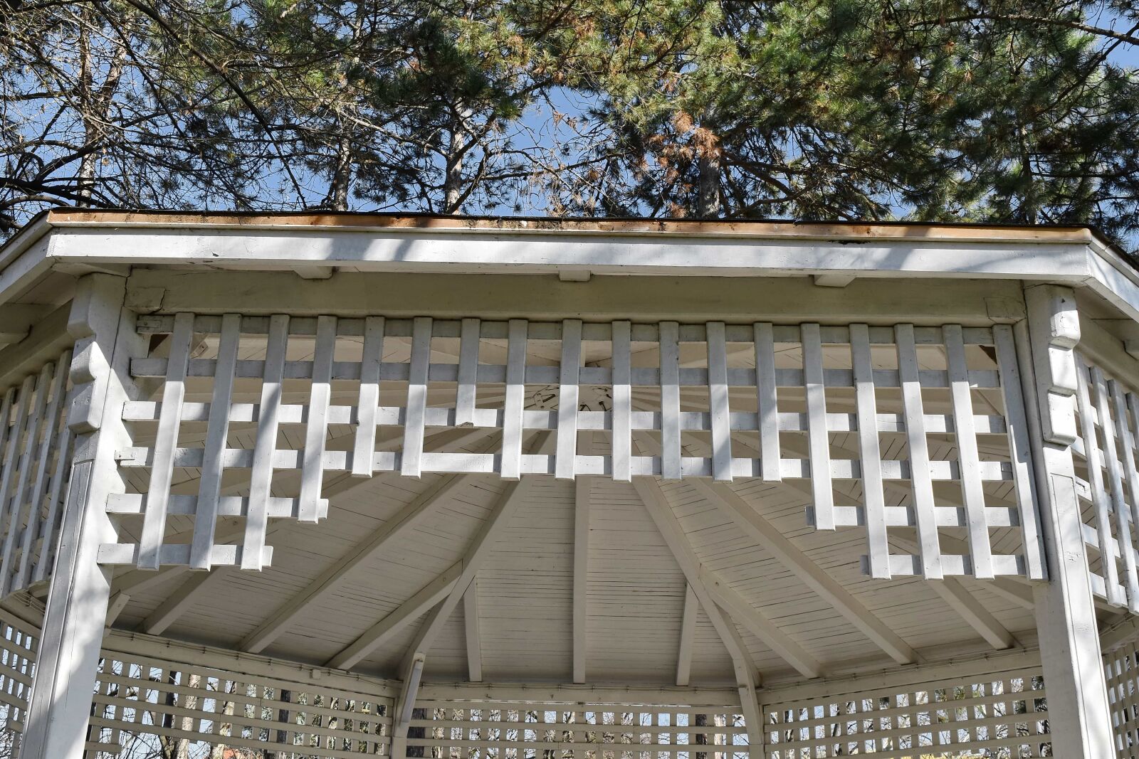 Nikon D5500 sample photo. Architecture, building, house, wood photography