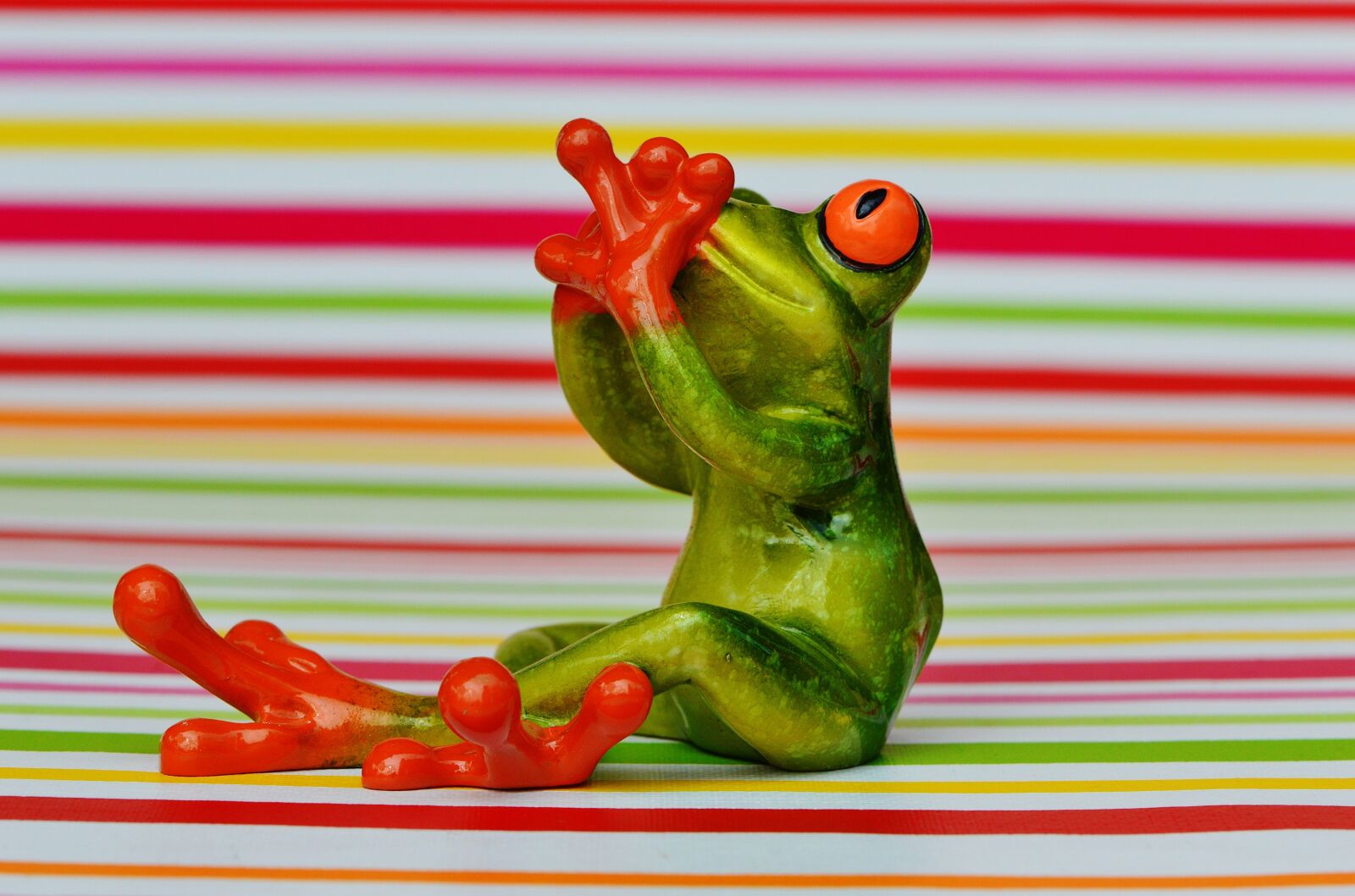Nikon D3200 sample photo. Frog, figure, do not photography