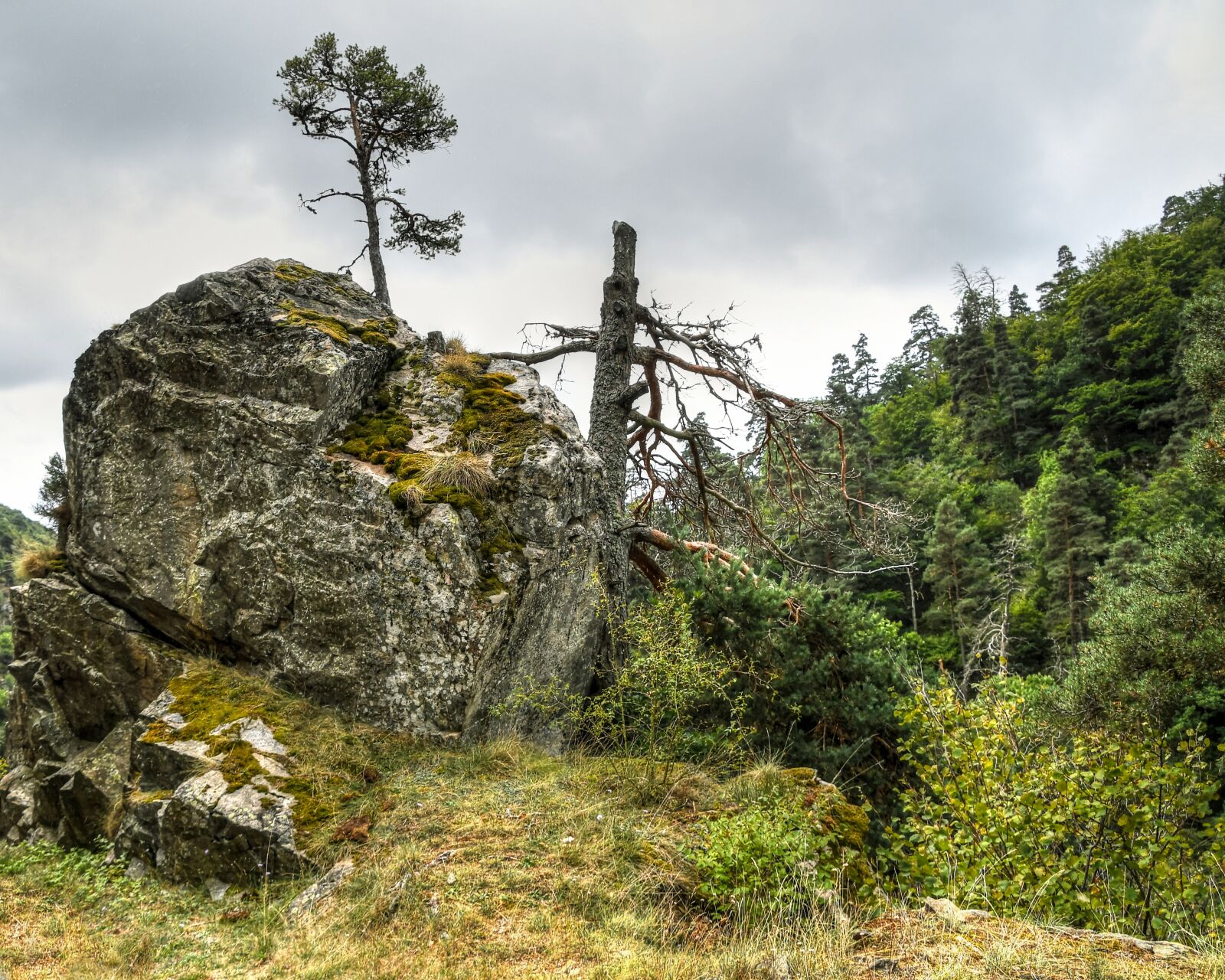 Nikon D500 sample photo. The gorge of hell photography