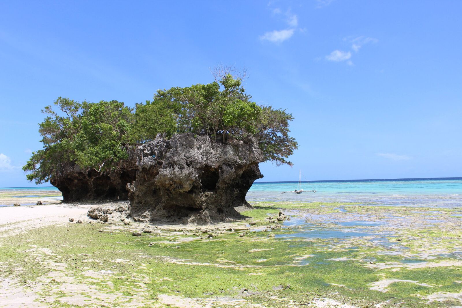 Canon EOS 1300D (EOS Rebel T6 / EOS Kiss X80) sample photo. Pemba island, holiday, vacation photography