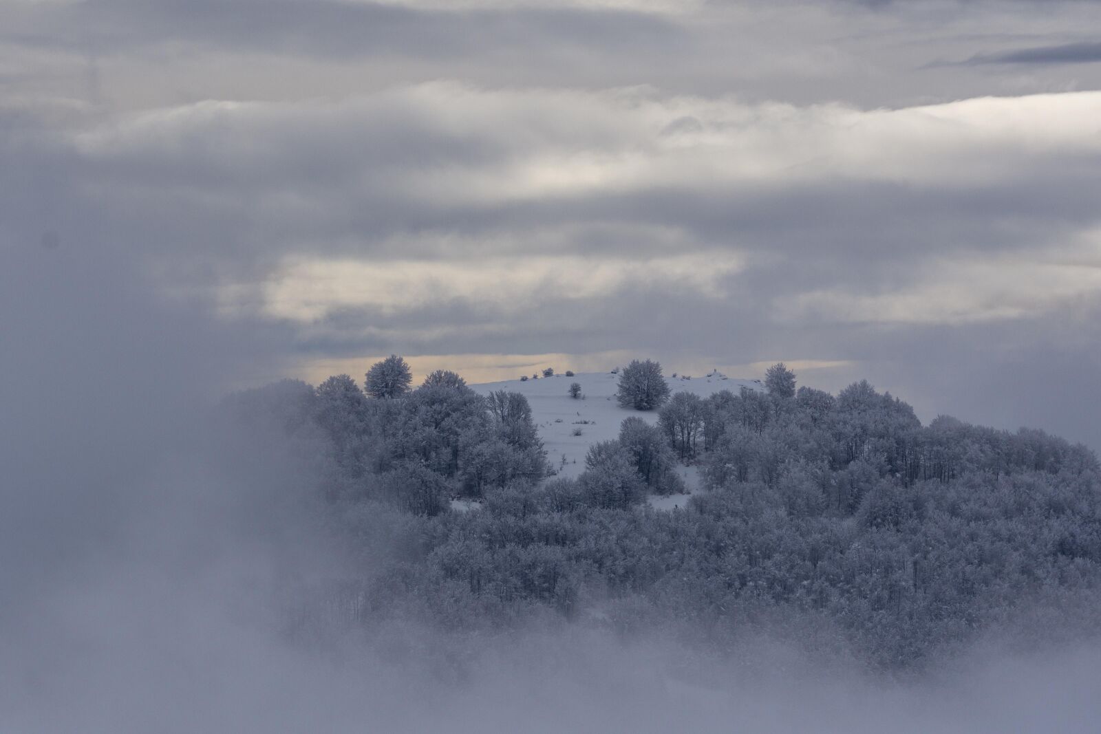 Nikon D7200 sample photo. Snow, winter, tree photography
