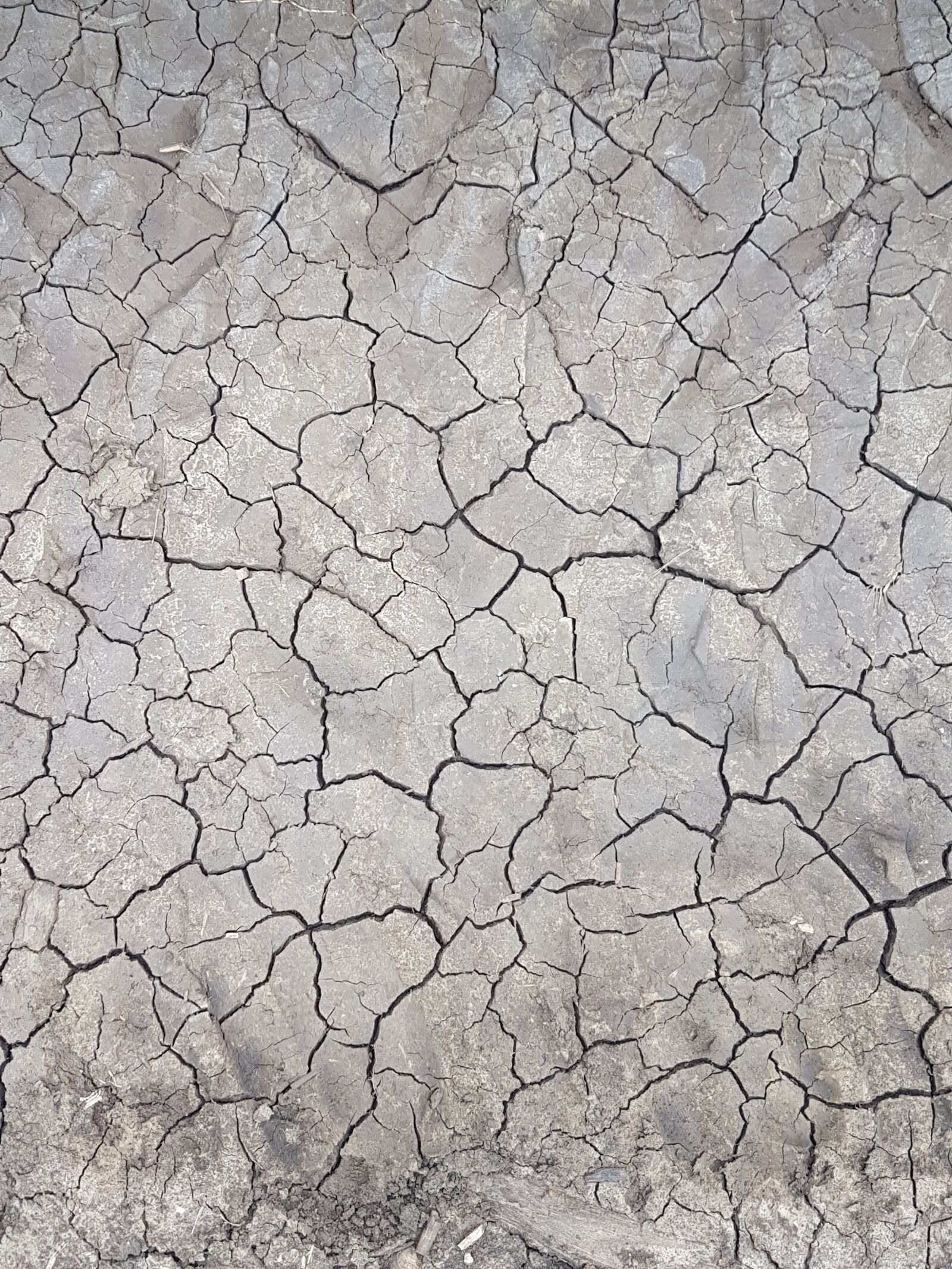 Samsung Galaxy S7 Edge sample photo. Textures, earth, cracks photography