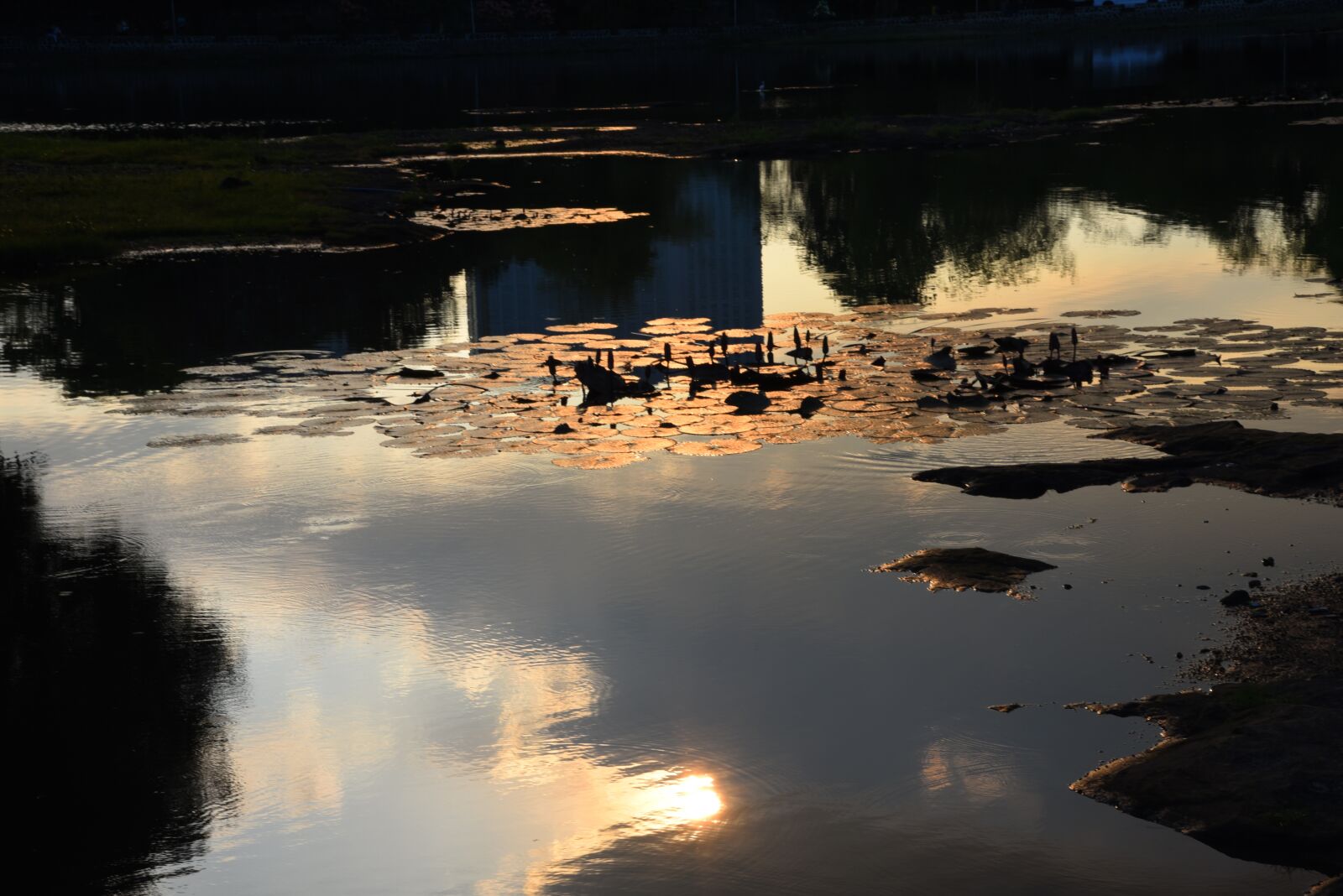Nikon D750 sample photo. Water, outdoors, reflection photography