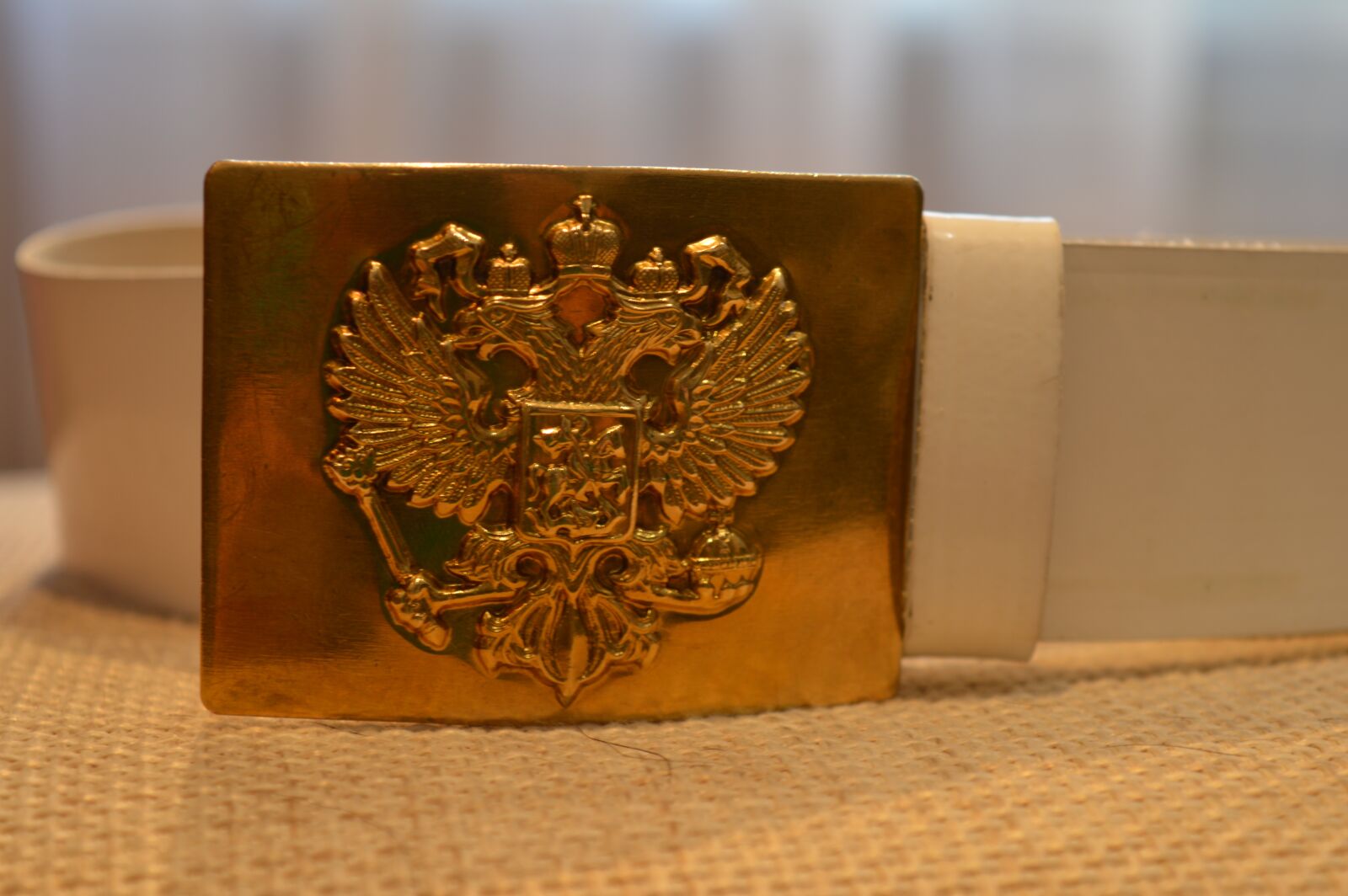 Nikon D3200 sample photo. Belt, plaque, coat on photography