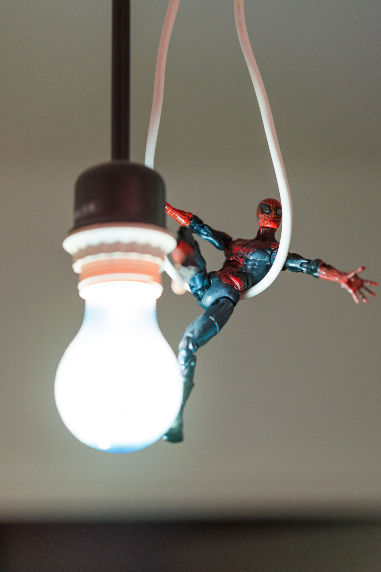 Sigma 56mm F1.4 DC DN | C sample photo. Spiderman light photography