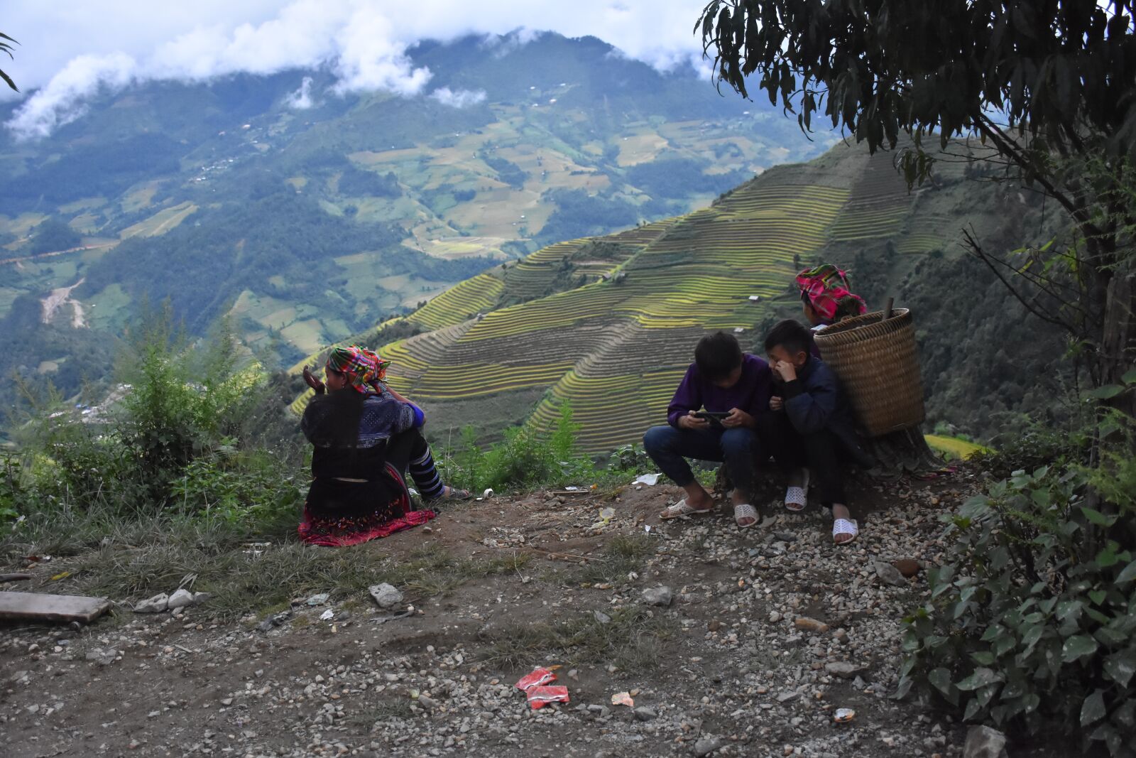 Nikon D7200 sample photo. Terraces, mountains, vietnam photography