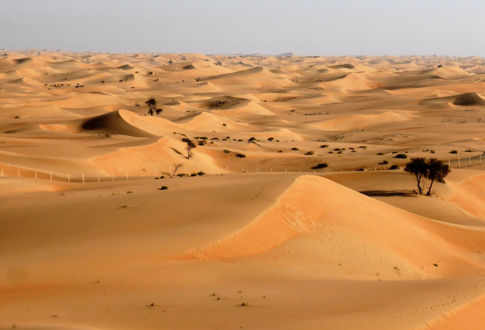 Panasonic Lumix DMC-ZS30 (Lumix DMC-TZ40) sample photo. Desert, landscape, drought photography