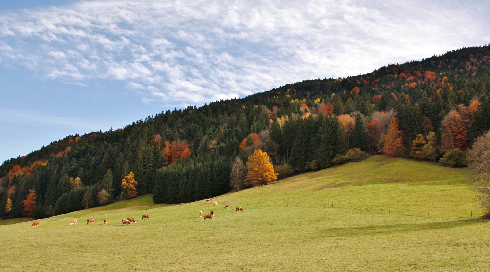 Canon EOS 450D (EOS Rebel XSi / EOS Kiss X2) sample photo. Nature, panorama, landscape photography