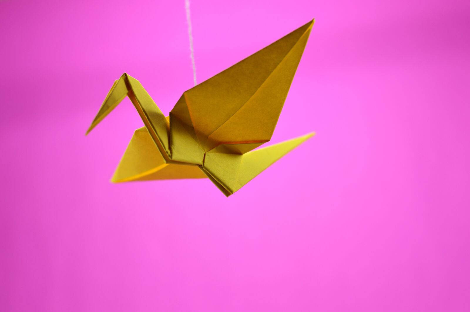 Nikon D3200 sample photo. Origami, crane, japanese photography