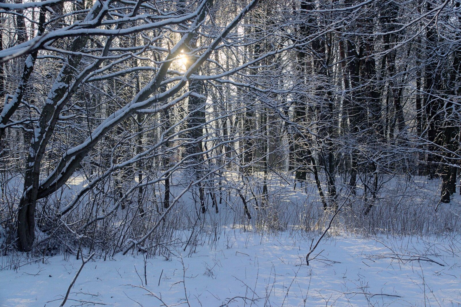 Nikon D3300 sample photo. Winter, snow, view photography