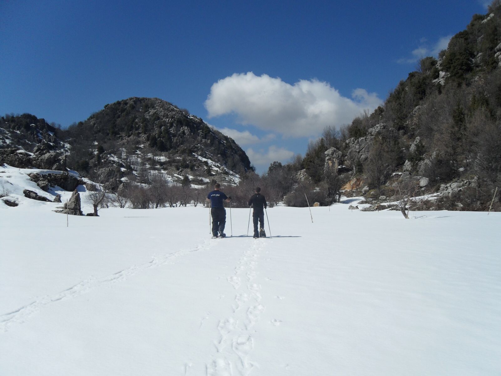 Samsung PL70 / VLUU PL70 /  SL720 sample photo. Snow, ski, white photography