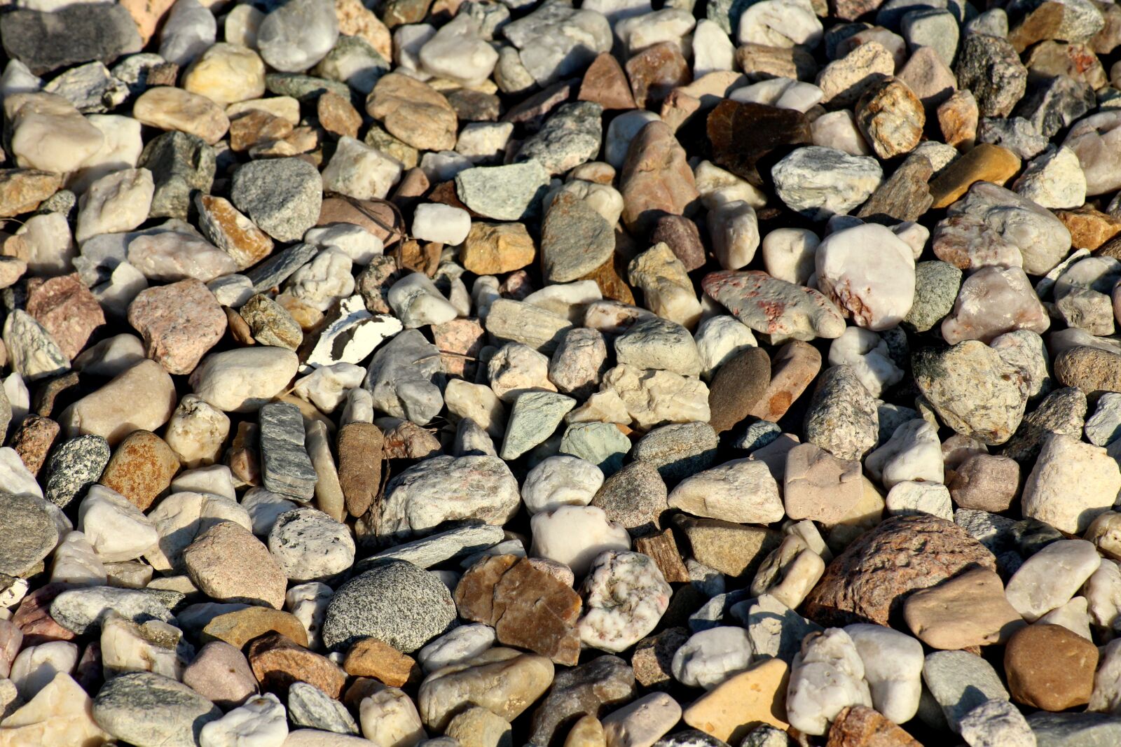 Canon EOS 1200D (EOS Rebel T5 / EOS Kiss X70 / EOS Hi) sample photo. Pebbles, texture, the structure photography