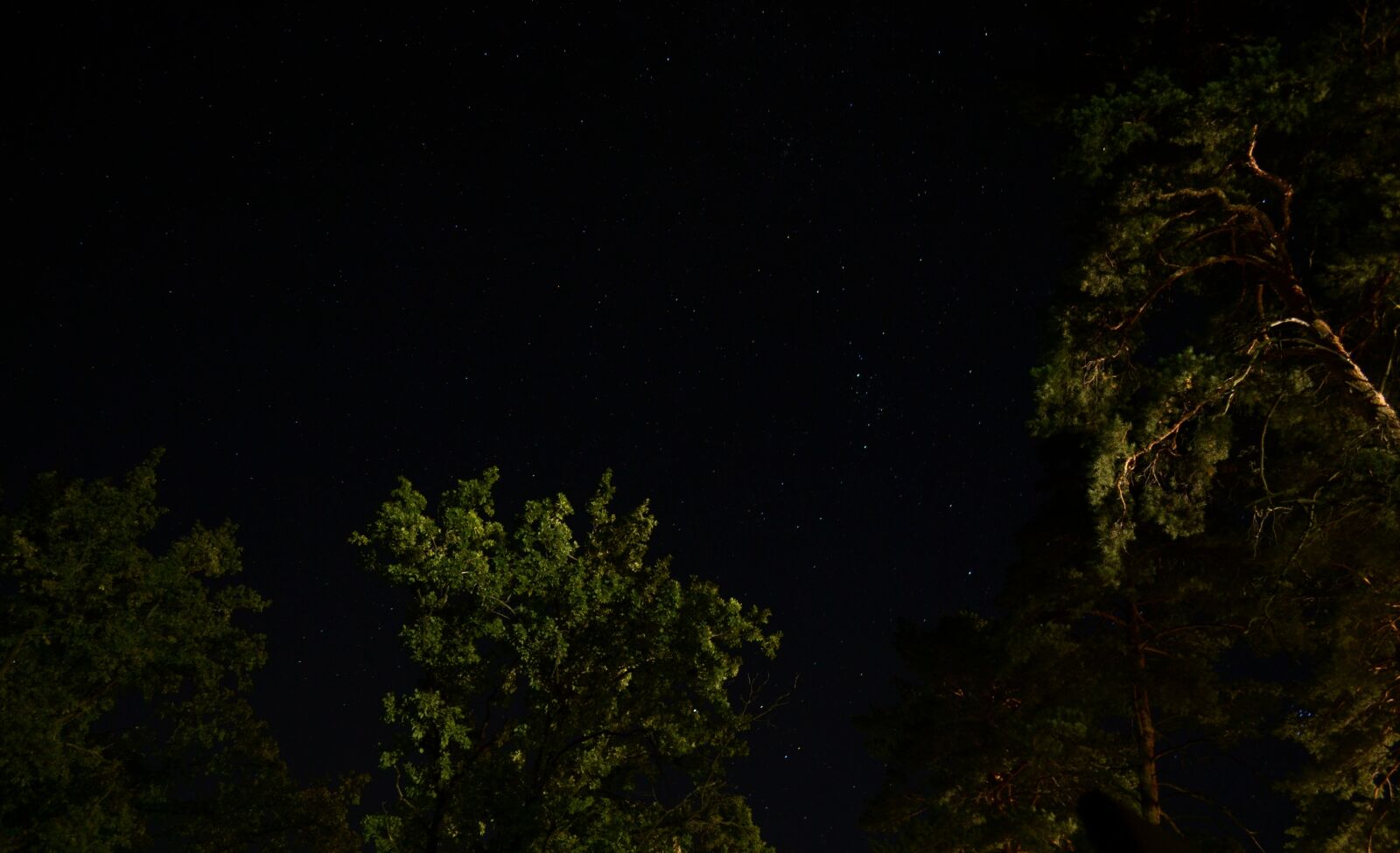 Nikon D3100 sample photo. небо, природа, space photography