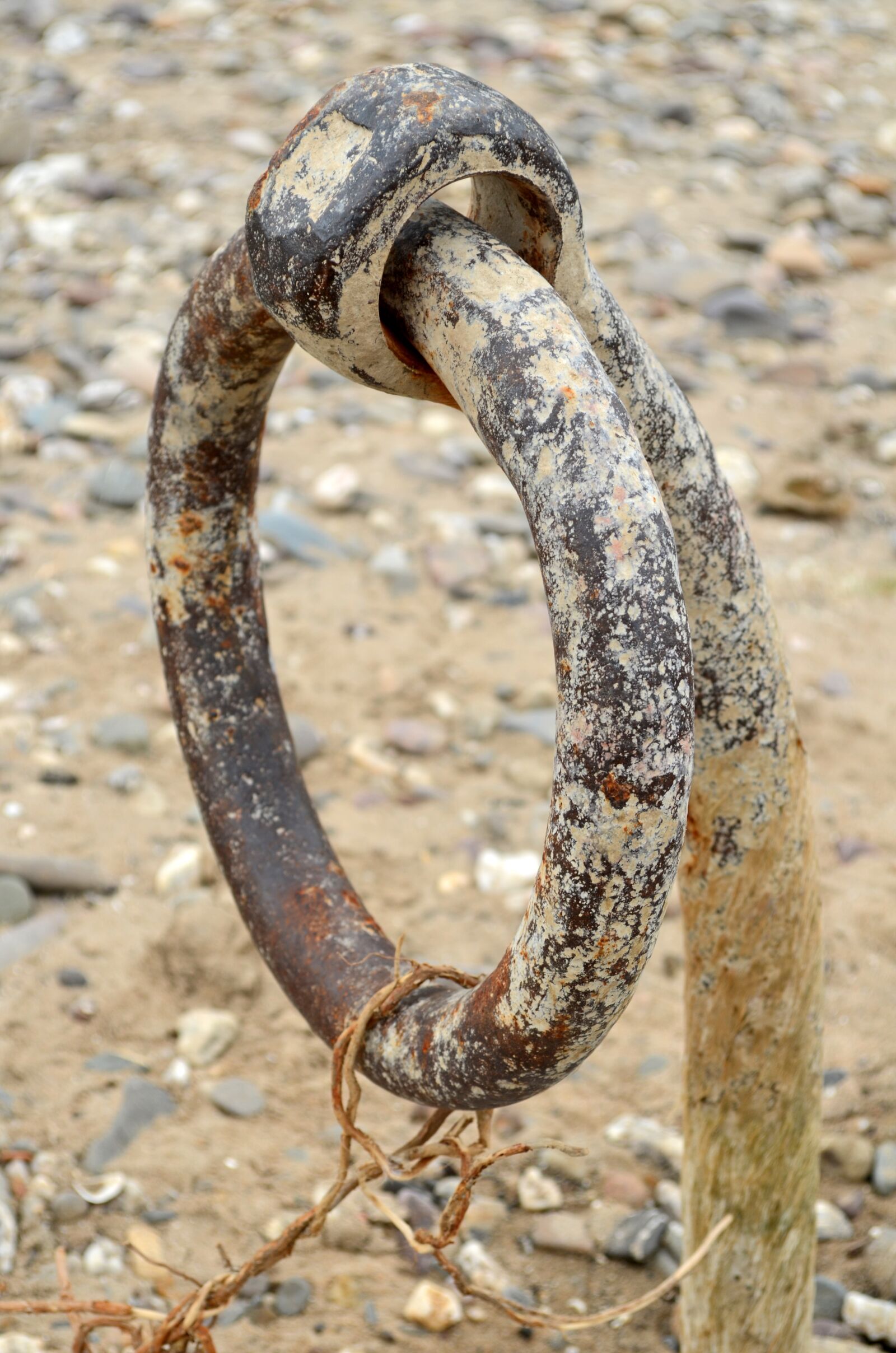 Nikon D5100 sample photo. Anchor, anchor lug, fix photography