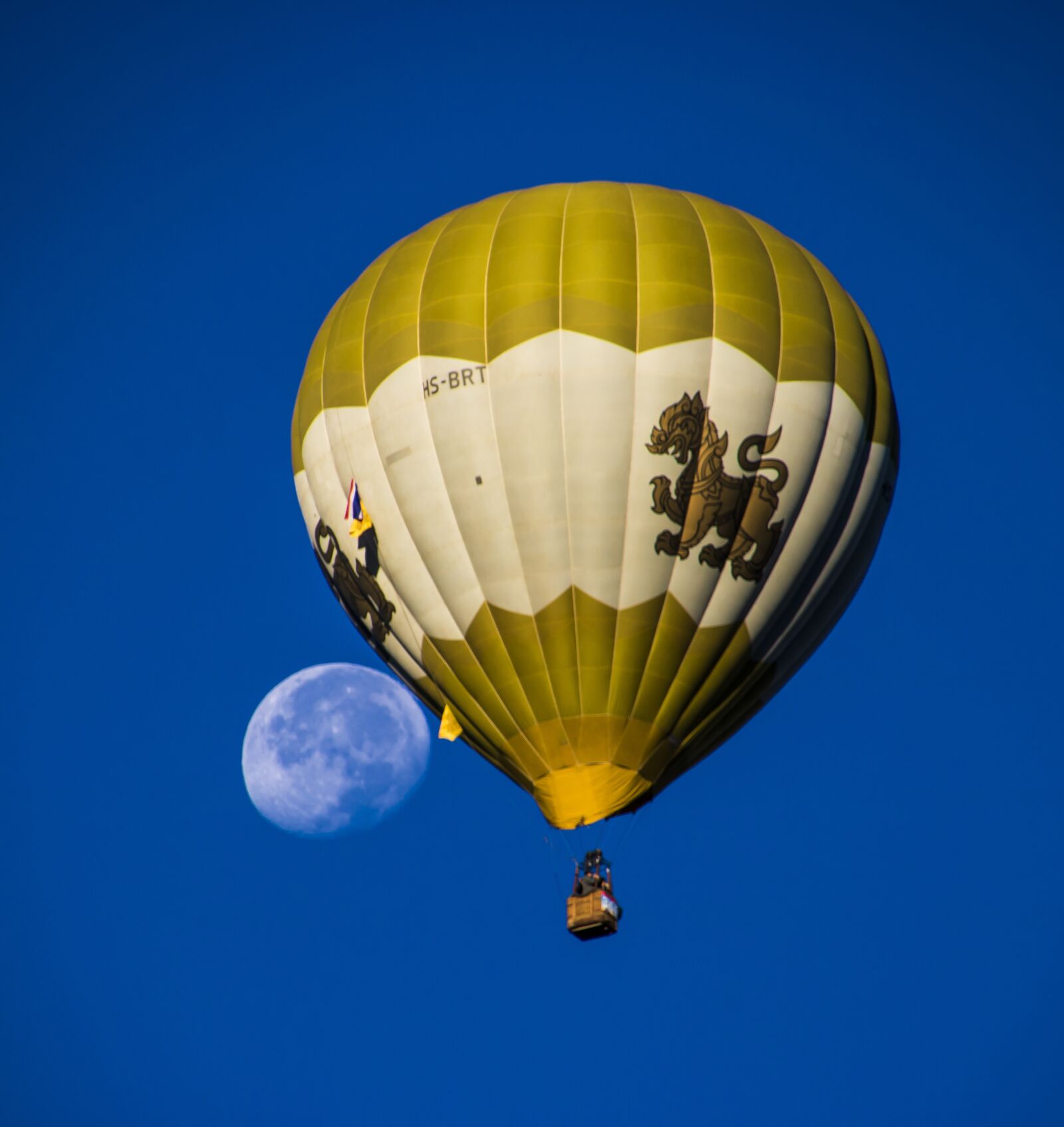Canon EOS 750D (EOS Rebel T6i / EOS Kiss X8i) sample photo. Hot air balloon, moon photography