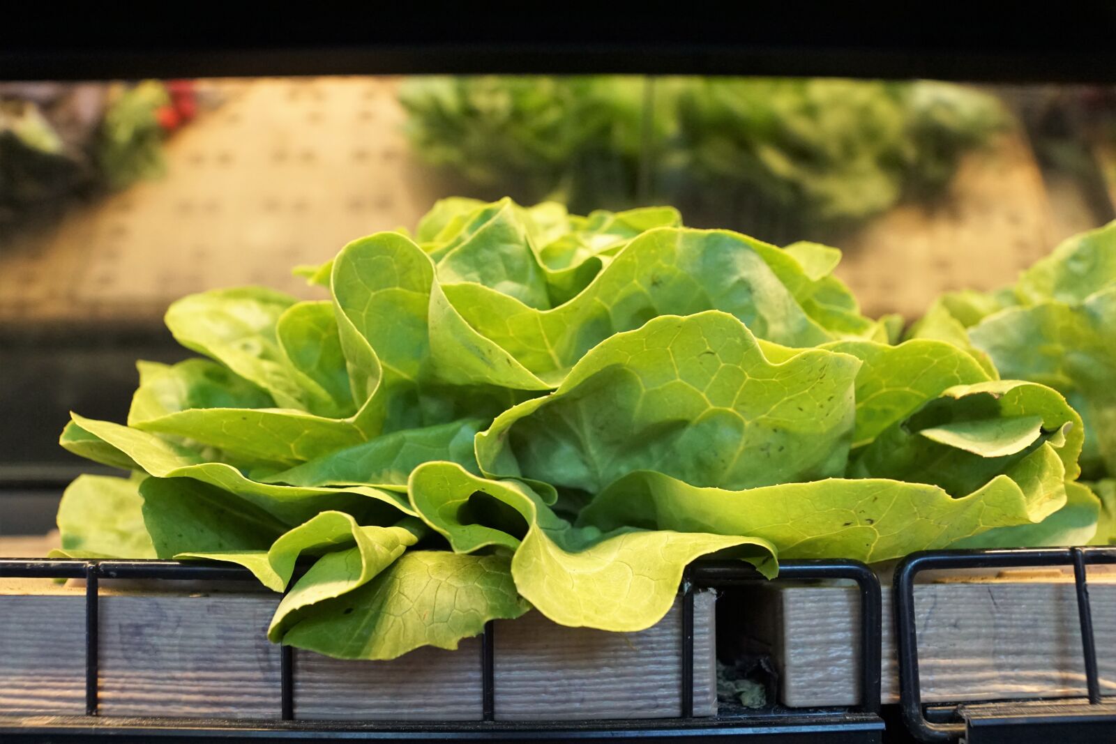 Sony ILCA-77M2 + Sony DT 16-50mm F2.8 SSM sample photo. Salad, market, vitamin photography