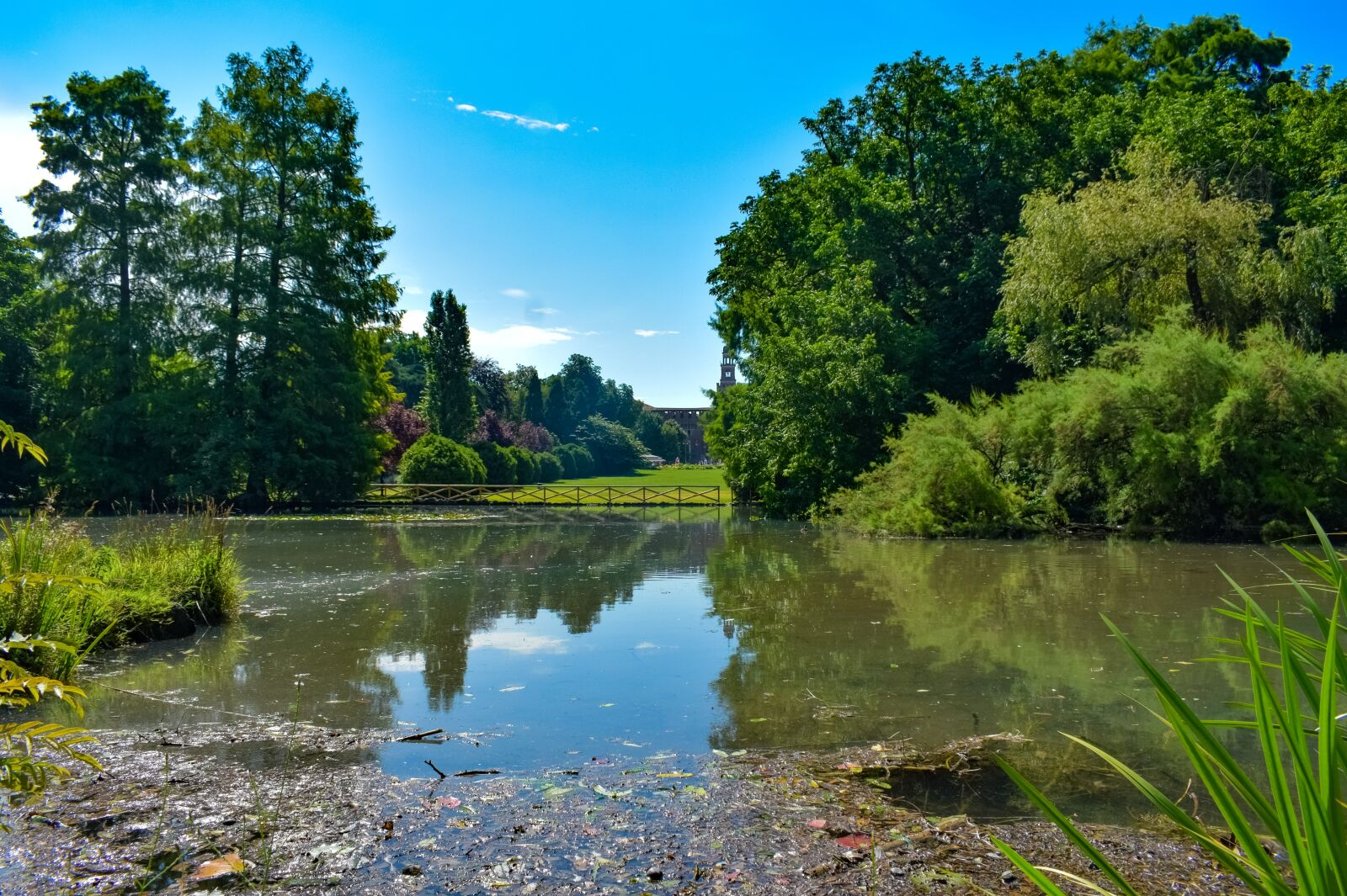 Nikon D3300 sample photo. Park, lake, forest photography