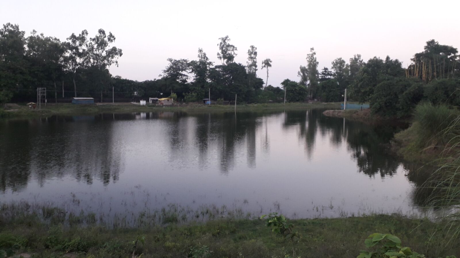 Samsung Galaxy J4 sample photo. Pond, water, jungle photography