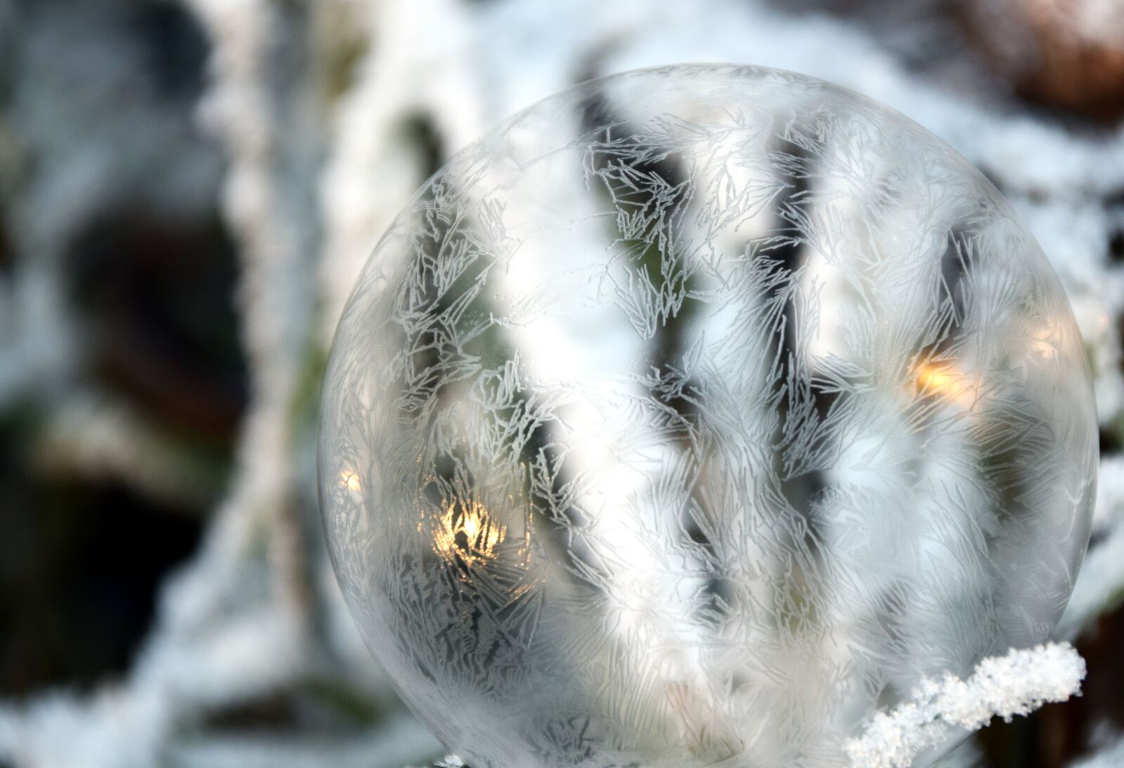 Nikon D3300 sample photo. Bubble, soap bubble, balls photography