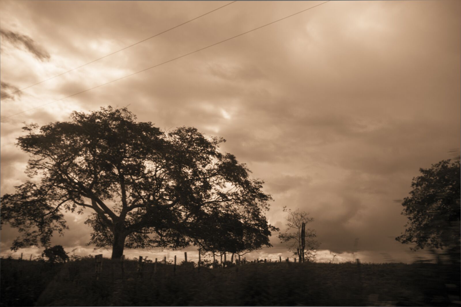 Canon EOS 5D Mark II sample photo. Tree, landscape, backcountry photography
