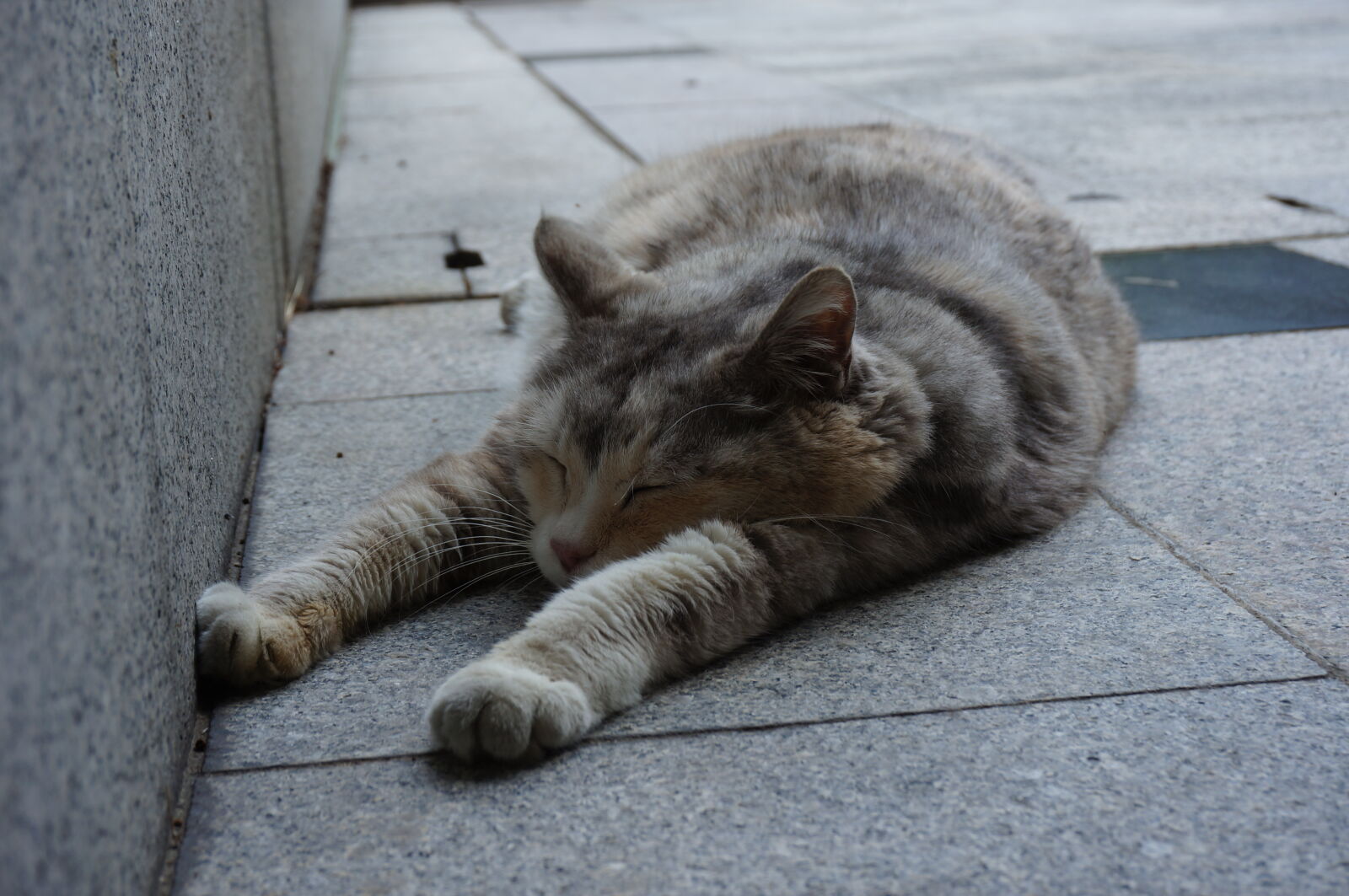 Sony Alpha NEX-5N sample photo