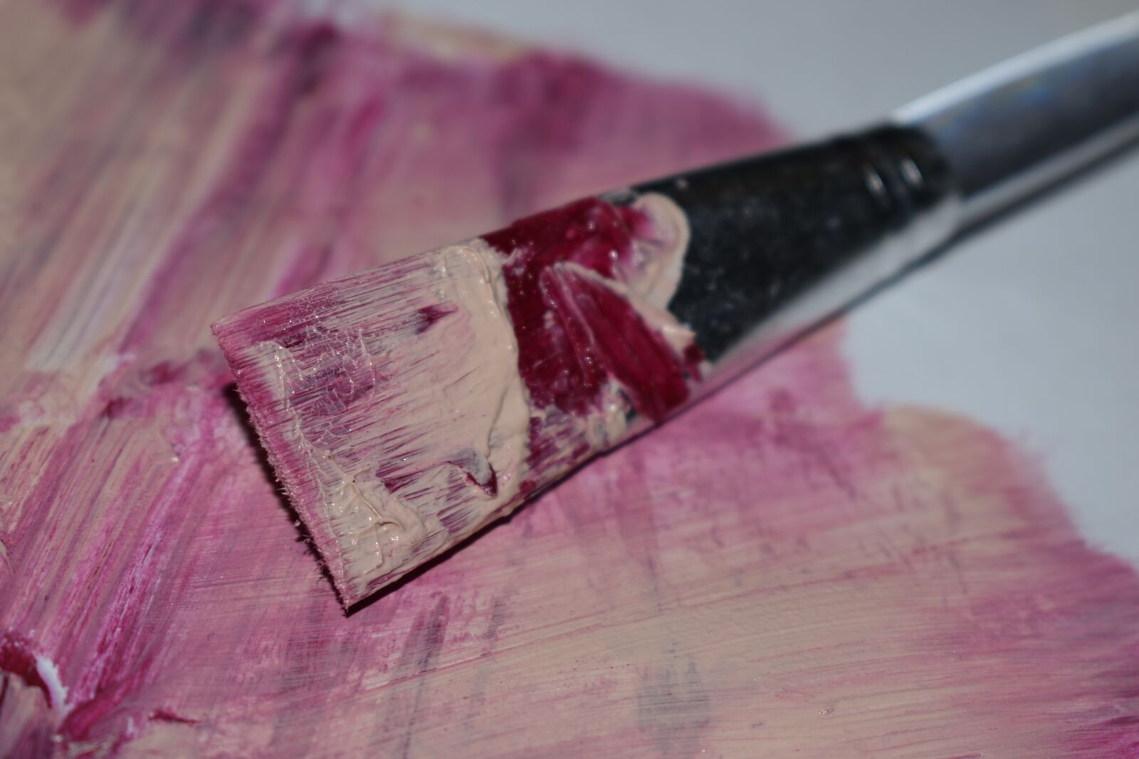 Nikon D3500 sample photo. Brush, tracks, dirty photography