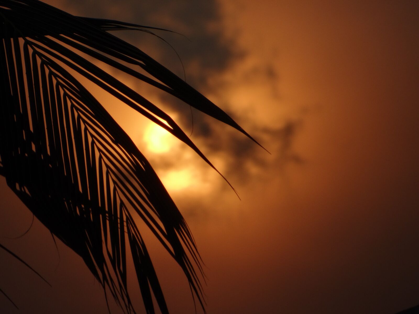 Sony DSC-HX200V sample photo. Sunset, nature, sunrise photography