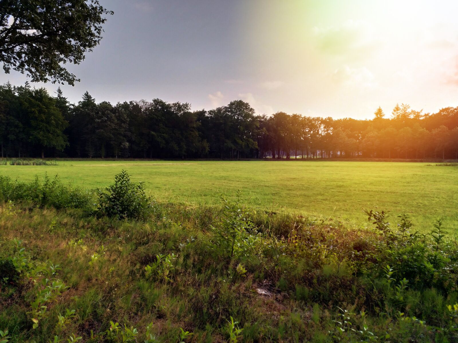 HMD Global Nokia 8 sample photo. Sunny, evening, nature photography